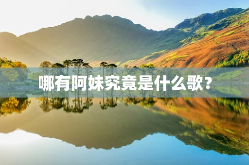 哪有阿妹究竟是什么歌？