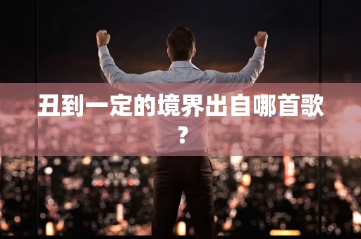 丑到一定的境界出自哪首歌？