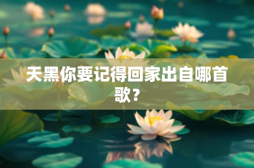 天黑你要记得回家出自哪首歌？