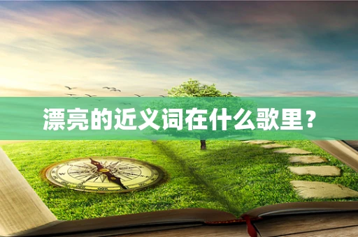 漂亮的近义词在什么歌里？