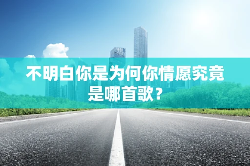 不明白你是为何你情愿究竟是哪首歌？