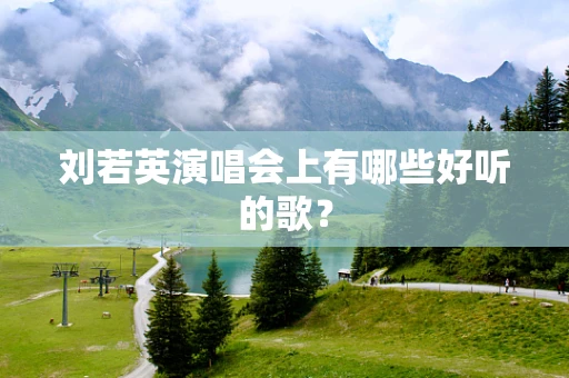 刘若英演唱会上有哪些好听的歌？