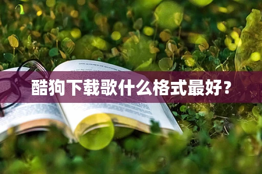 酷狗下载歌什么格式最好？