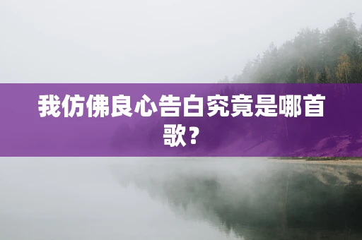 我仿佛良心告白究竟是哪首歌？