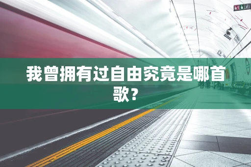 我曾拥有过自由究竟是哪首歌？