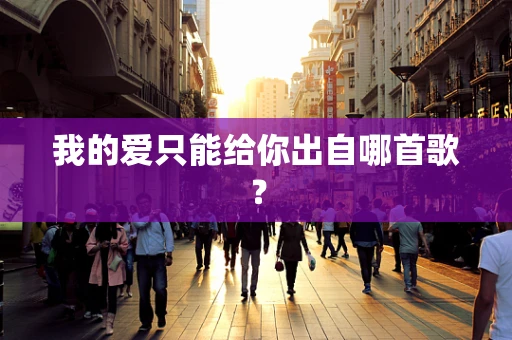 我的爱只能给你出自哪首歌？