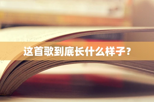 这首歌到底长什么样子？