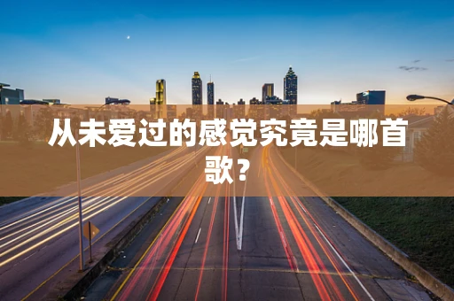 从未爱过的感觉究竟是哪首歌？