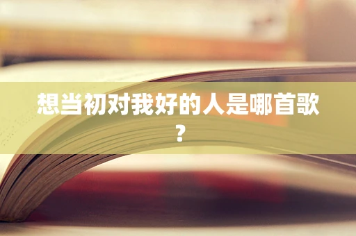 想当初对我好的人是哪首歌？