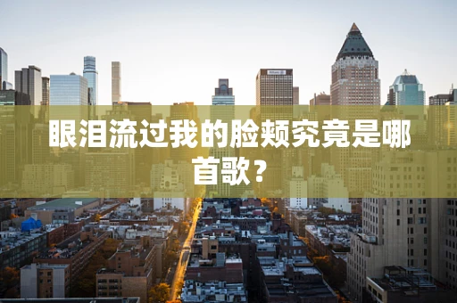 眼泪流过我的脸颊究竟是哪首歌？