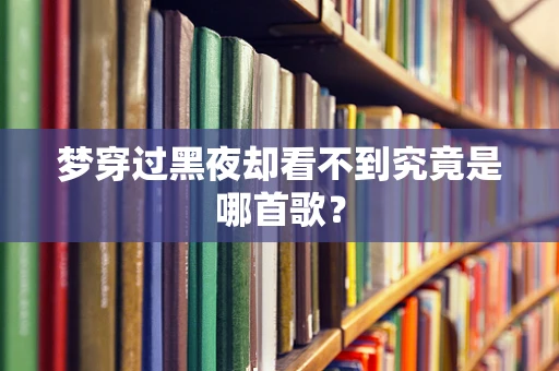 梦穿过黑夜却看不到究竟是哪首歌？