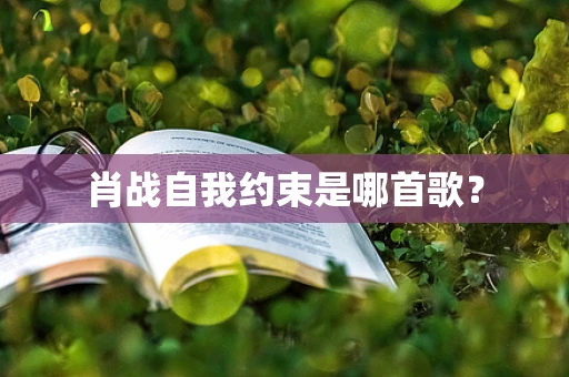 肖战自我约束是哪首歌？