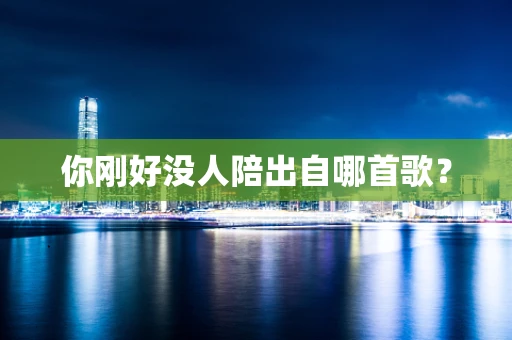 你刚好没人陪出自哪首歌？