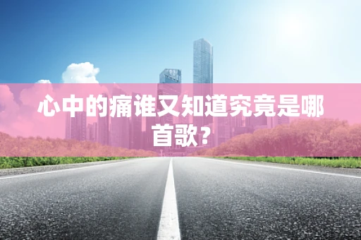 心中的痛谁又知道究竟是哪首歌？