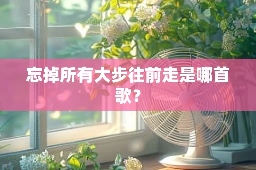 忘掉所有大步往前走是哪首歌？