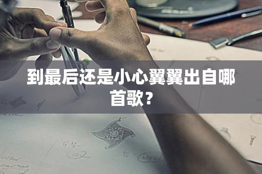 到最后还是小心翼翼出自哪首歌？