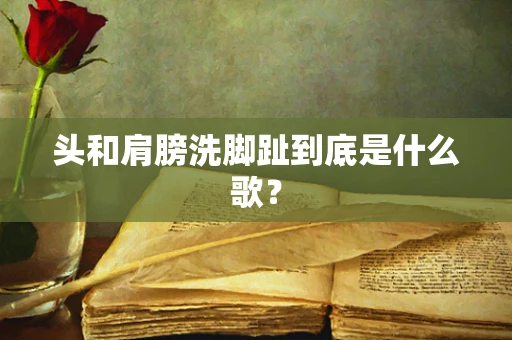头和肩膀洗脚趾到底是什么歌？