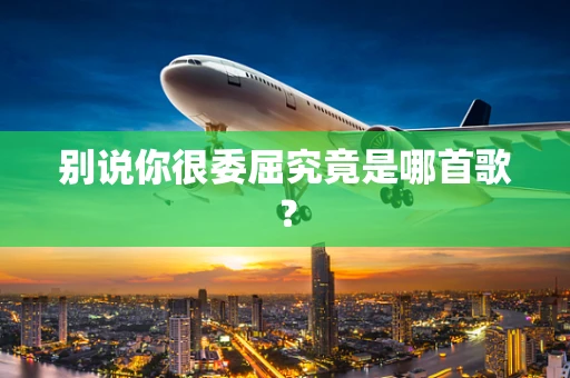 别说你很委屈究竟是哪首歌？