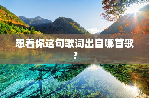 想着你这句歌词出自哪首歌？