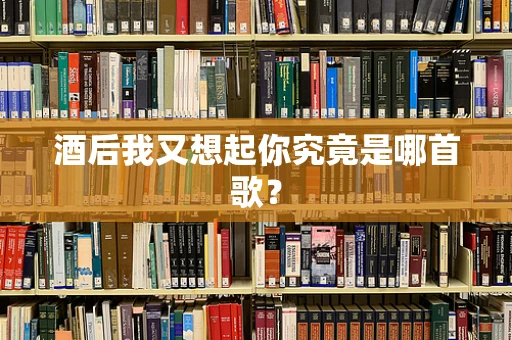 酒后我又想起你究竟是哪首歌？
