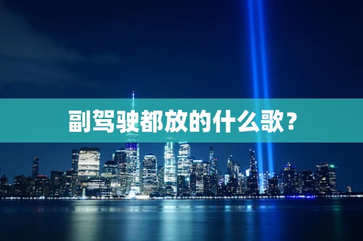 副驾驶都放的什么歌？