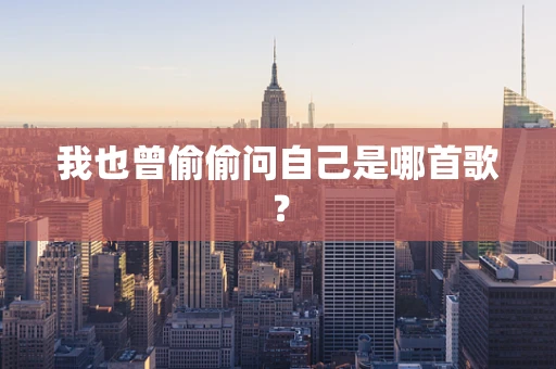 我也曾偷偷问自己是哪首歌？