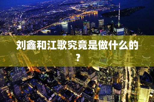 刘鑫和江歌究竟是做什么的？