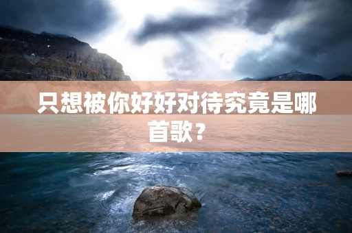 只想被你好好对待究竟是哪首歌？