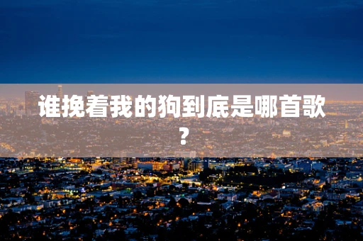谁挽着我的狗到底是哪首歌？