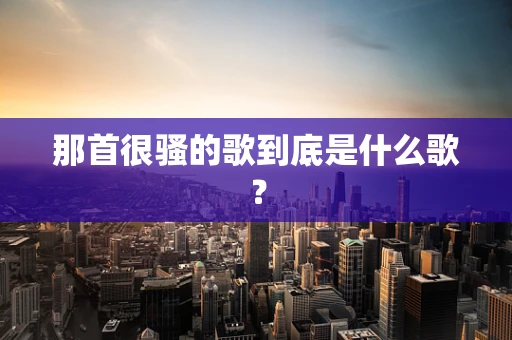 那首很骚的歌到底是什么歌？