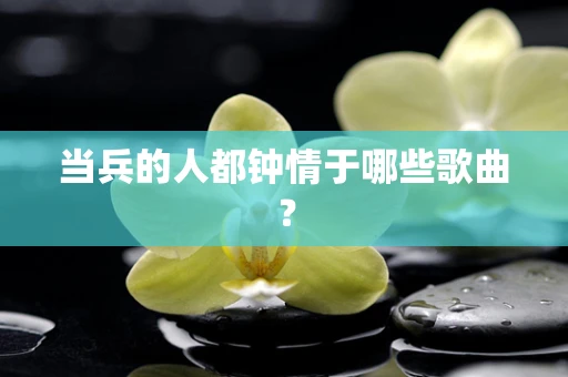 当兵的人都钟情于哪些歌曲？