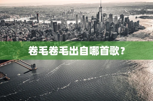 卷毛卷毛出自哪首歌？