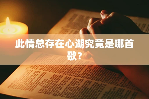 此情总存在心湖究竟是哪首歌？