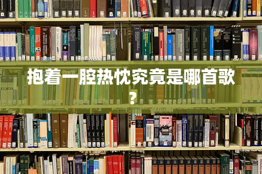 抱着一腔热忱究竟是哪首歌？