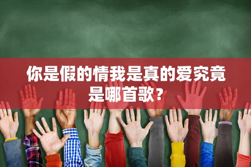 你是假的情我是真的爱究竟是哪首歌？