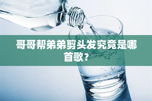 哥哥帮弟弟剪头发究竟是哪首歌？