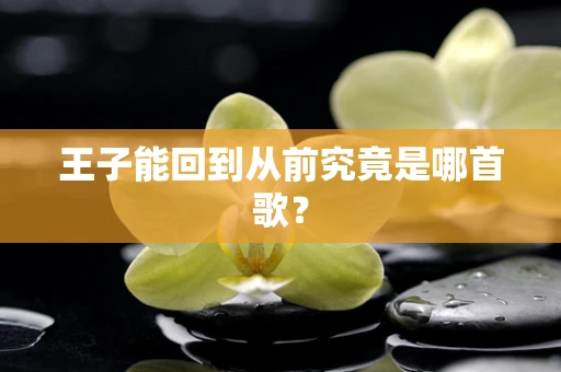 王子能回到从前究竟是哪首歌？