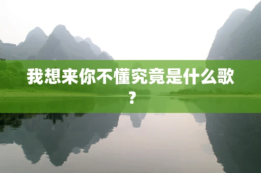 我想来你不懂究竟是什么歌？