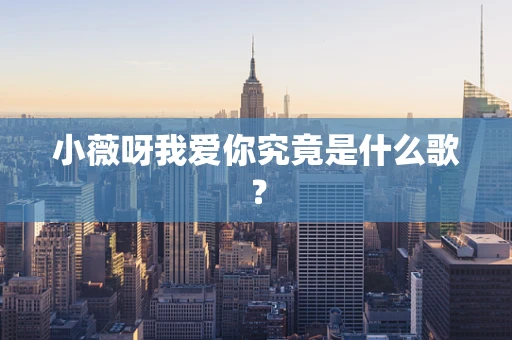 小薇呀我爱你究竟是什么歌？