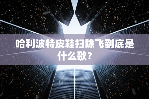 哈利波特皮鞋扫除飞到底是什么歌？
