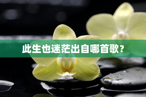 此生也迷茫出自哪首歌？