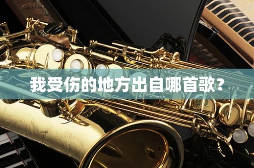 我受伤的地方出自哪首歌？