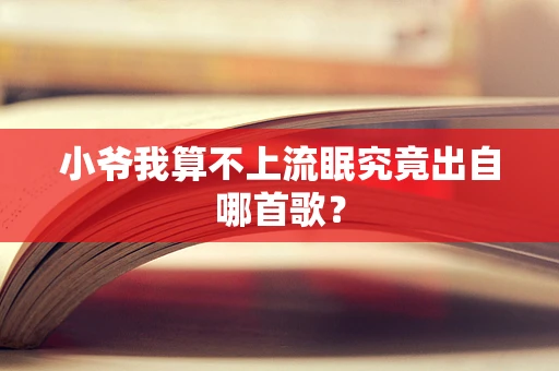 小爷我算不上流眠究竟出自哪首歌？