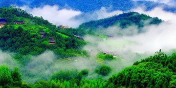 贵州啊贵州出自哪首歌？