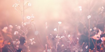 哪首歌里有我们还是朋友这句歌词呢？