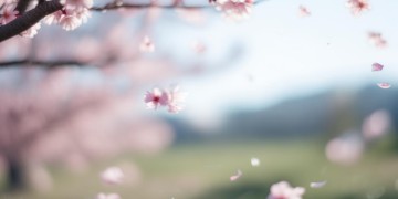 从此以后忘了你出自哪首歌？