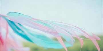 任我飘摇这句歌词出自哪首歌？