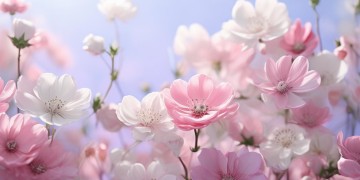 有种爱叫相互喜欢到底是哪首歌?