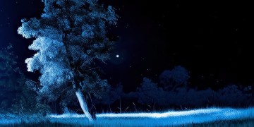 黑夜中的战友究竟是哪首歌？