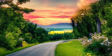 路呀路嗨呦究竟是什么歌？